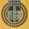 Dominik Wurth Konzertgitarre Zeder, Palisander, Mensur 64 cm, Baujahr 2016, Rosette, Schild