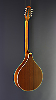 Irish Bouzouki Richwood, Rückseite